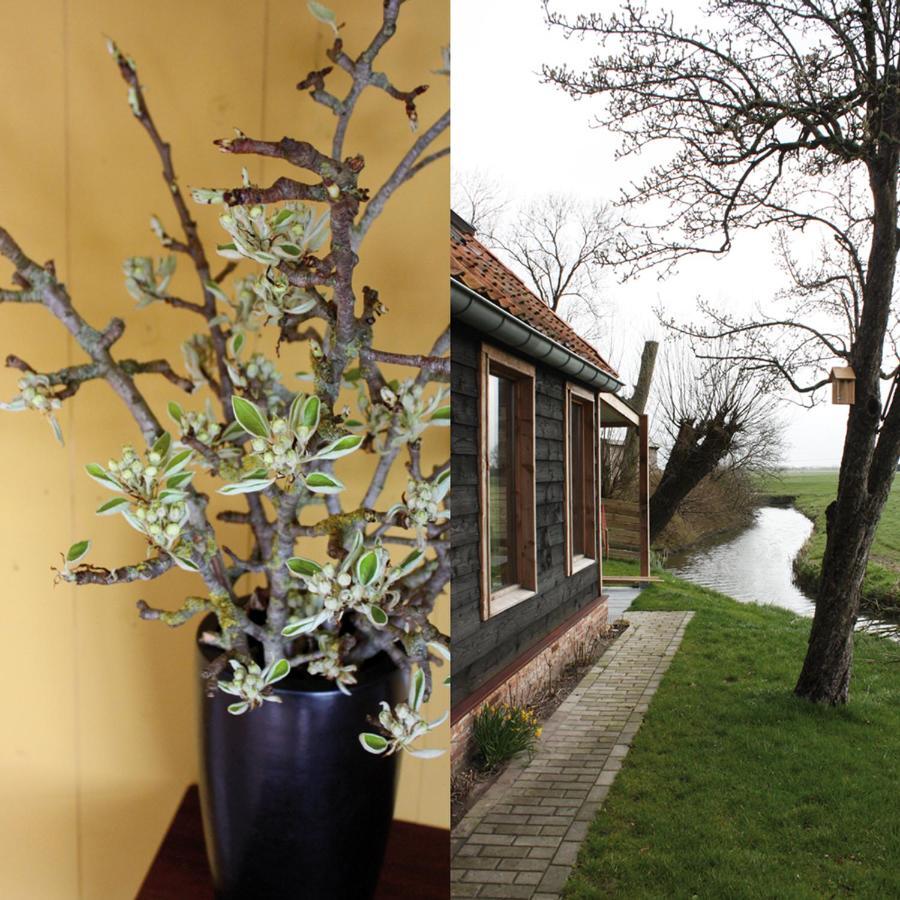 Tante W Guest House Wijtgaard Exterior foto